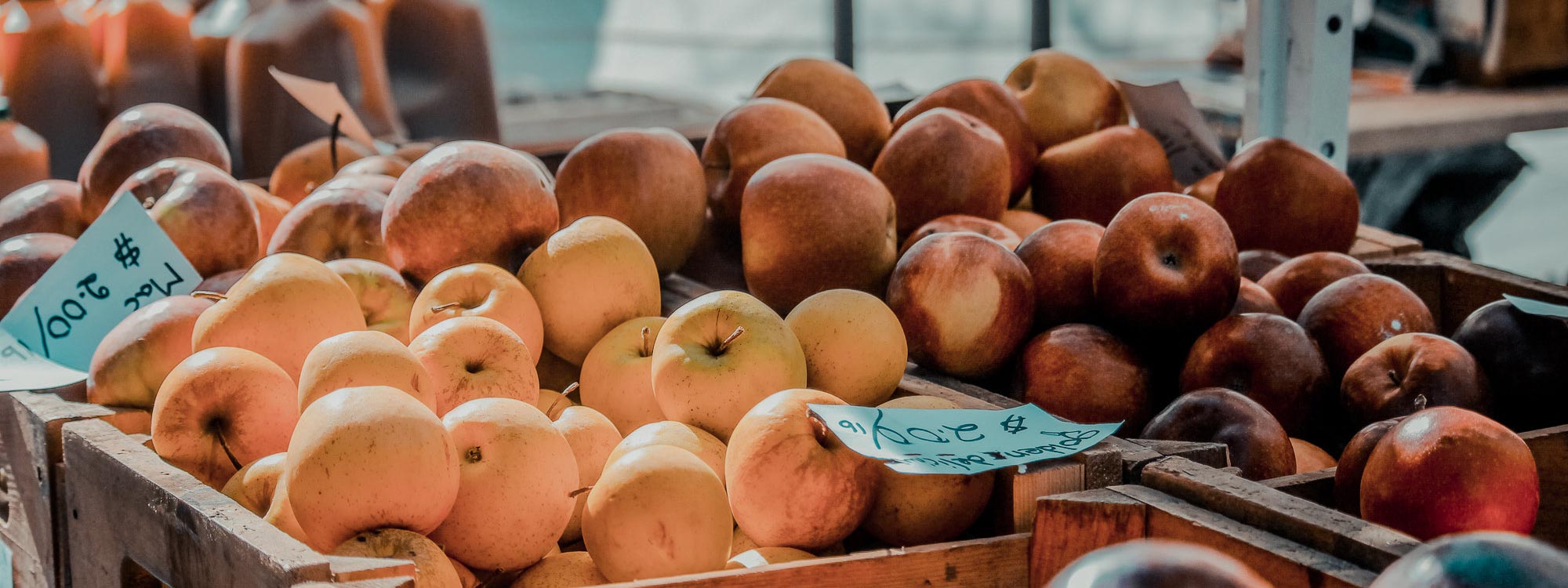 Non-Alcoholic and Alcohol Free Cider