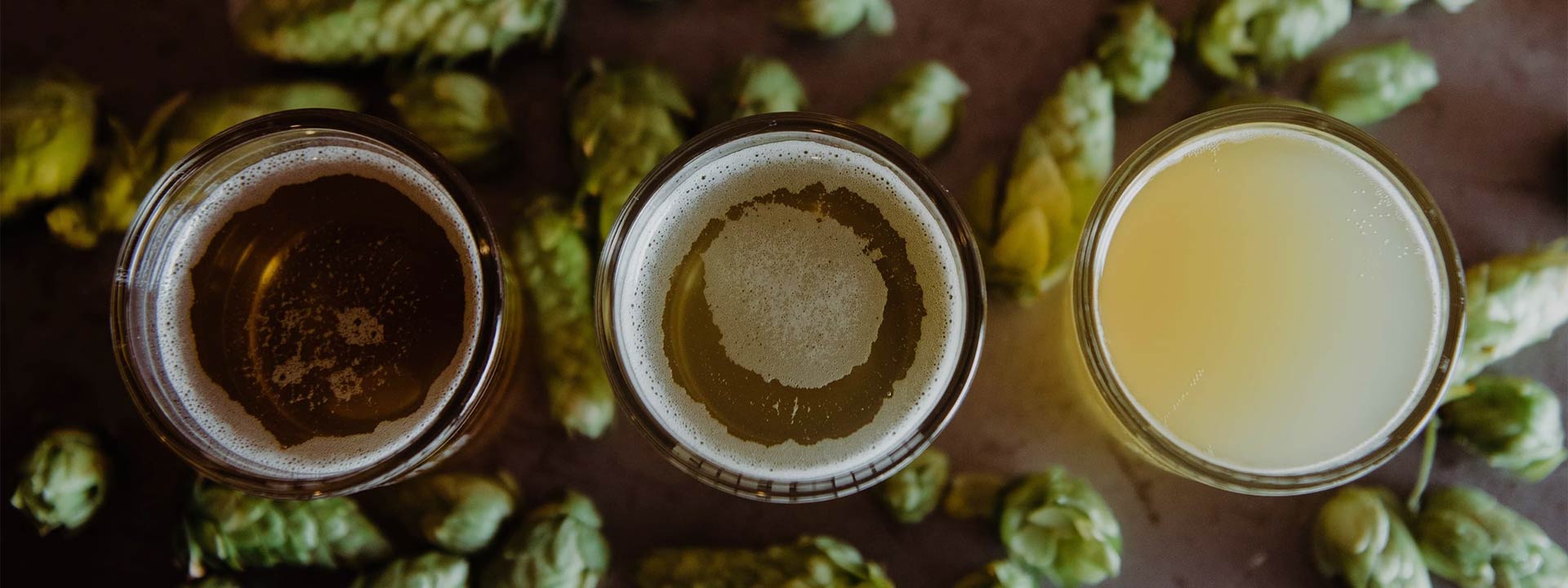 Non-Alcoholic and Alcohol Free IPAs