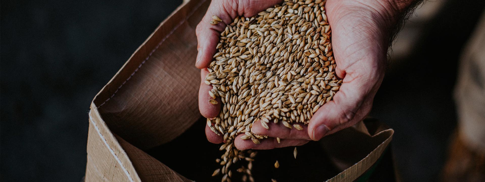 Non-Alcoholic and Alcohol Free Wheat Beers