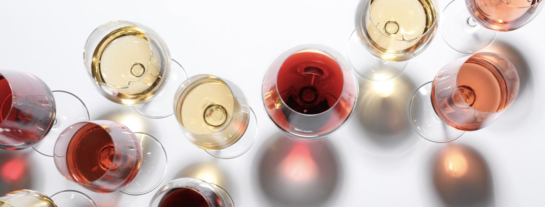 Vegan Wine