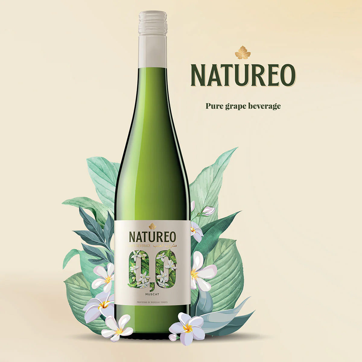 A Promotional image for Natureo