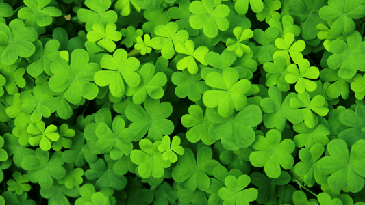 Celebrating St. Patrick's Day Without Alcohol - How to Have Fun While Staying Sober