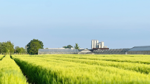 How is Non-Alcoholic Beer Made?