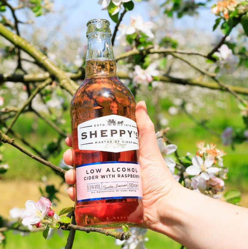 Bottle of Sheppy Raspberry Low Alcohol Cider outside in sunlight